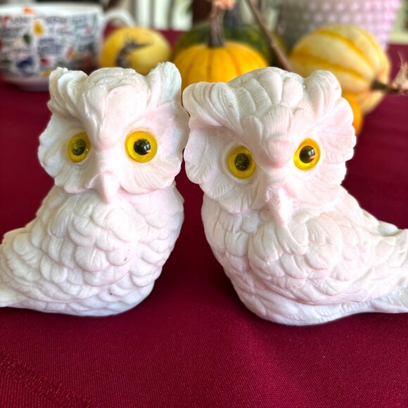 Norleans Other - Vintage Pair Norleans White Alabaster Owls Handmade in Italy Figurine